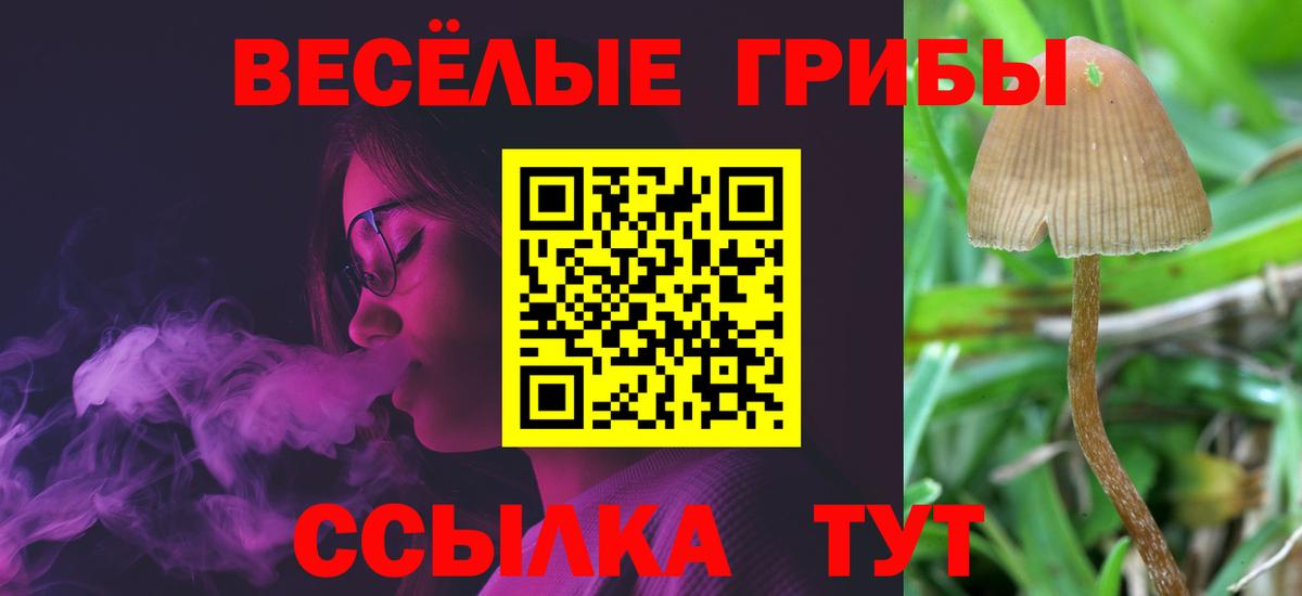 Псилоцибиновые грибы Psilocybine cubensis  Вход с VPN  Шарыпово 